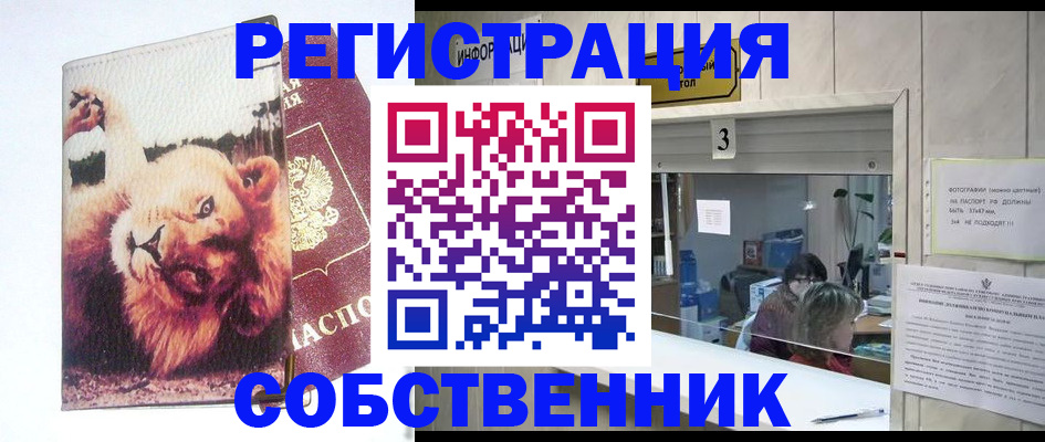 прописка поиск в Кушве